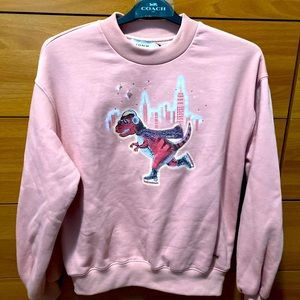 Coach Rexy Skyline dark pink shirt